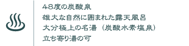 48度の炭酸泉・雄大な自然に囲まれた露天風呂・大分極上の名湯(炭酸水素塩泉)・立ち寄り湯の可